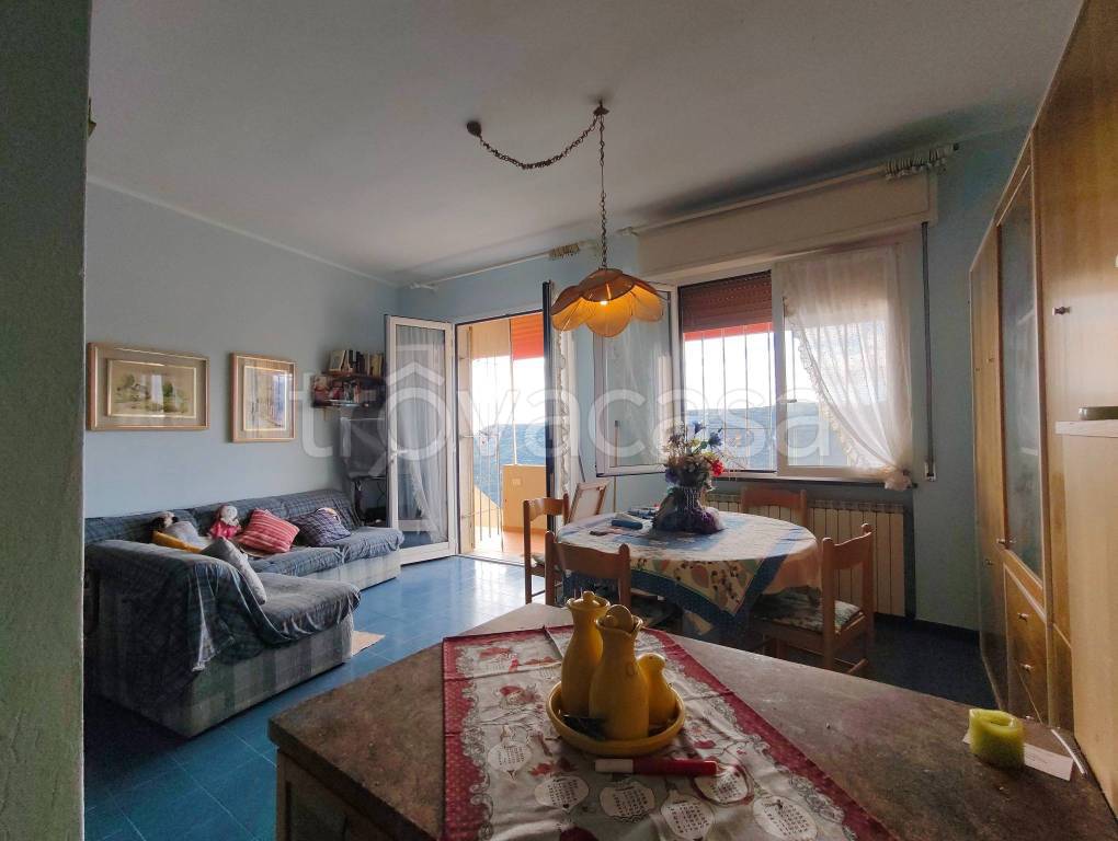 immagine annuncio 7 di 14