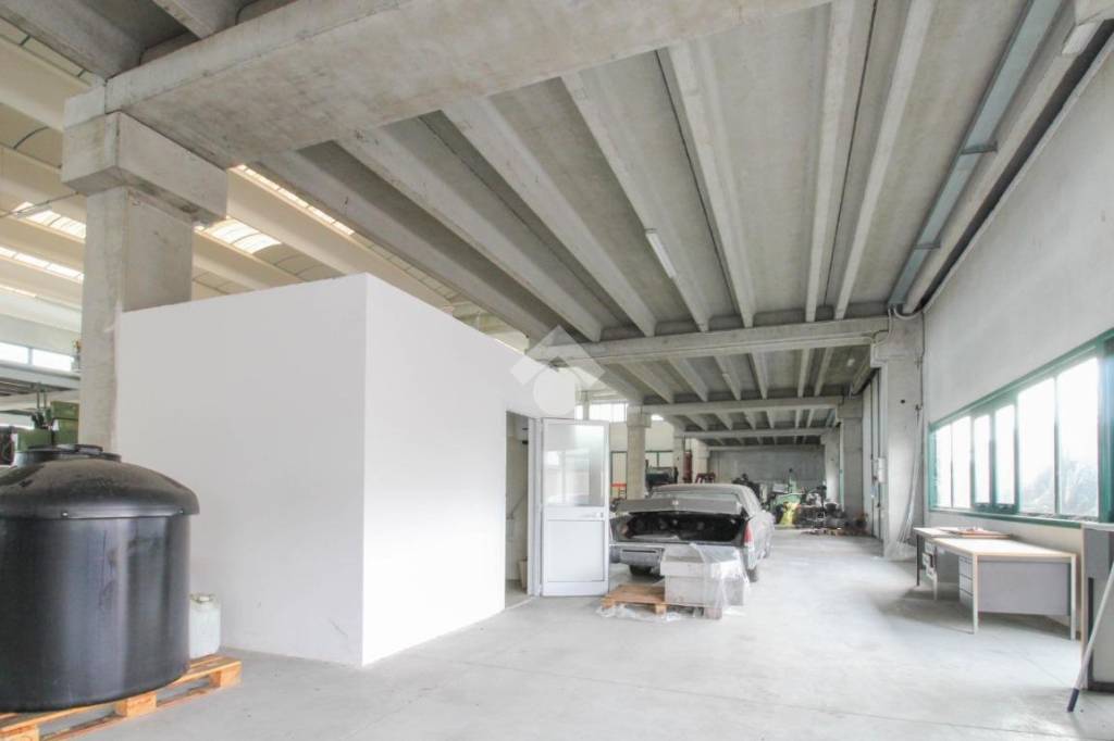 immagine annuncio 4 di 15