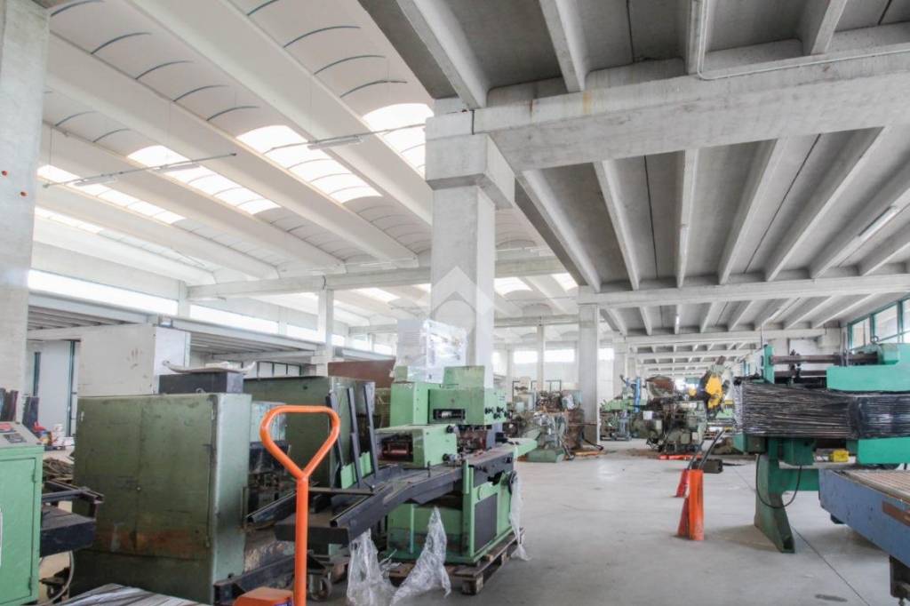 immagine annuncio 11 di 15