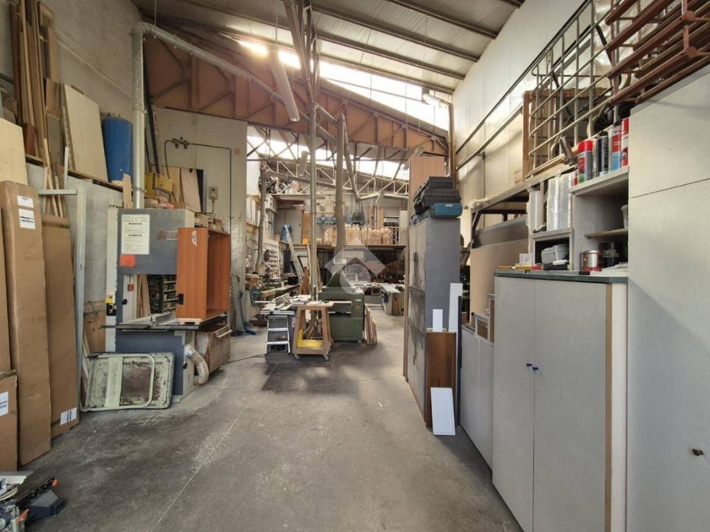 immagine annuncio 6 di 11