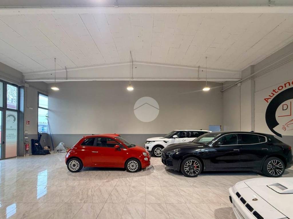 immagine annuncio 1 di 15