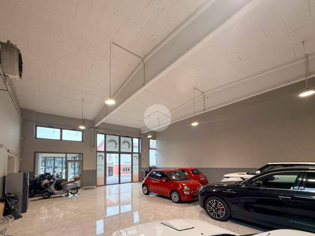 immagine annuncio 3 di 15