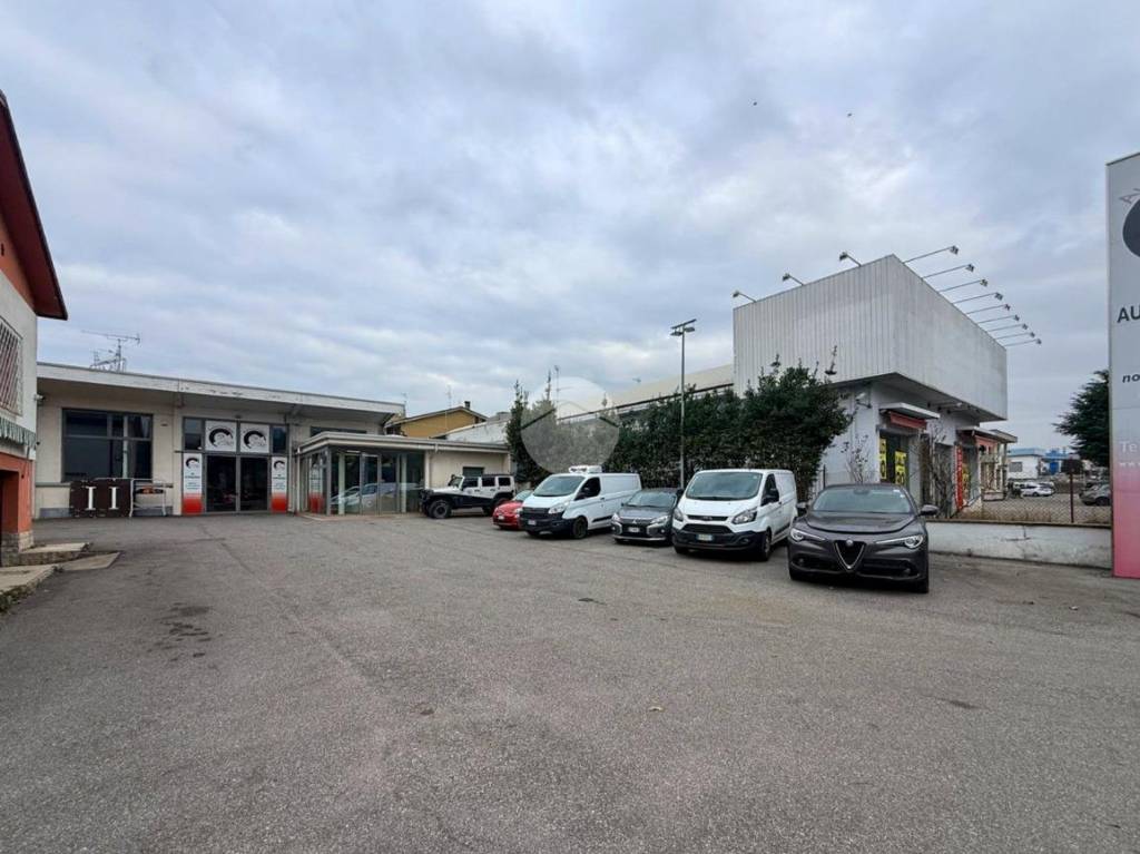 immagine annuncio 9 di 15