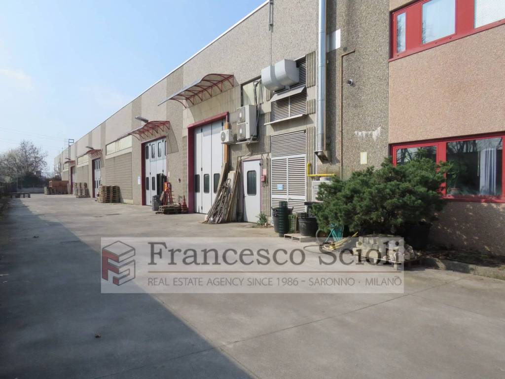 immagine annuncio 9 di 12