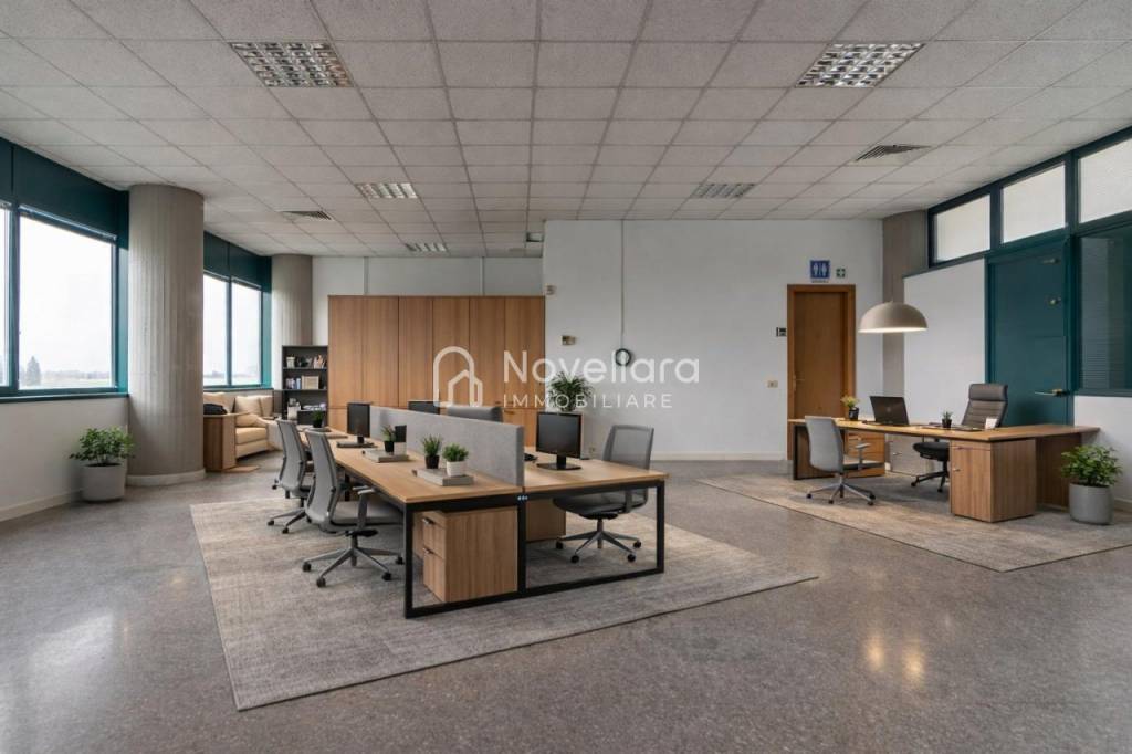 immagine annuncio 3 di 12