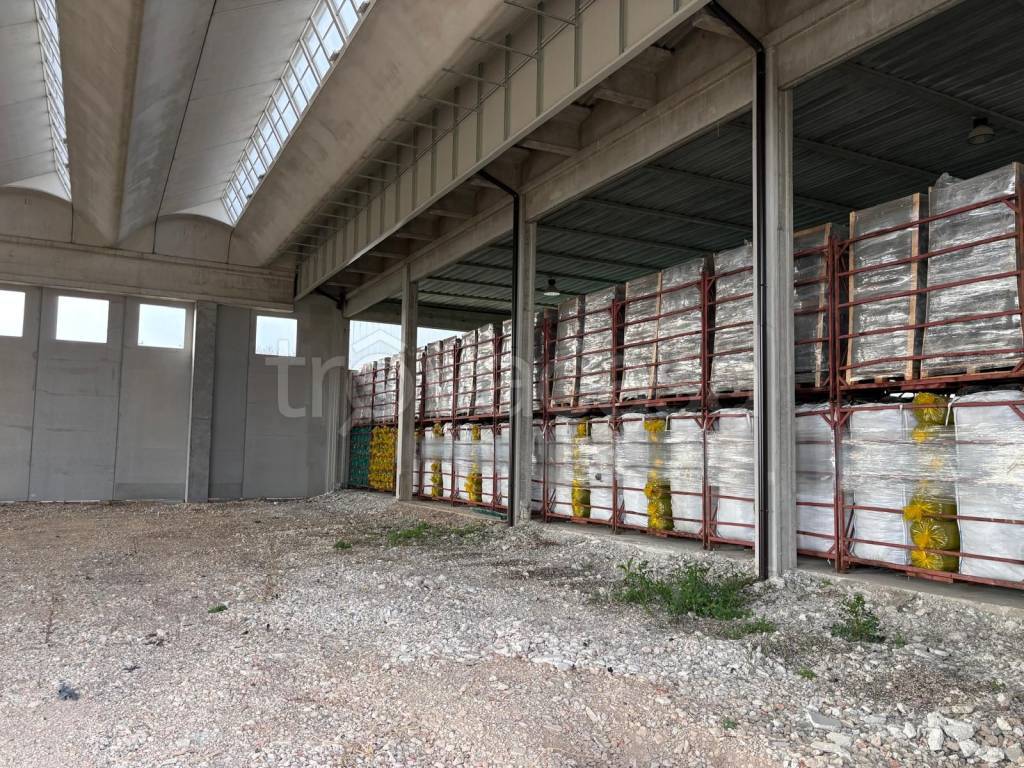 immagine annuncio 1 di 2