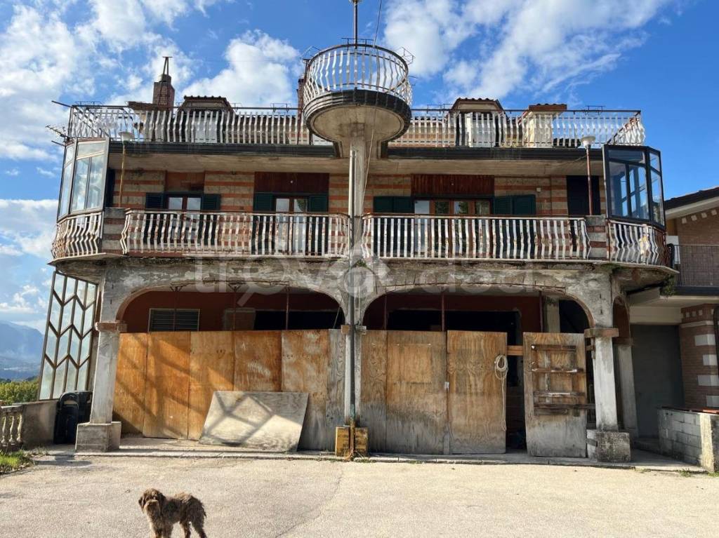 immagine annuncio 1 di 11