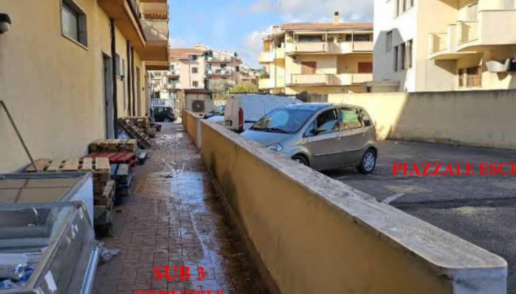 immagine annuncio 2 di 14