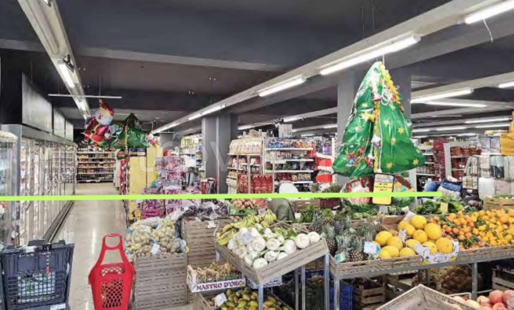 immagine annuncio 4 di 14