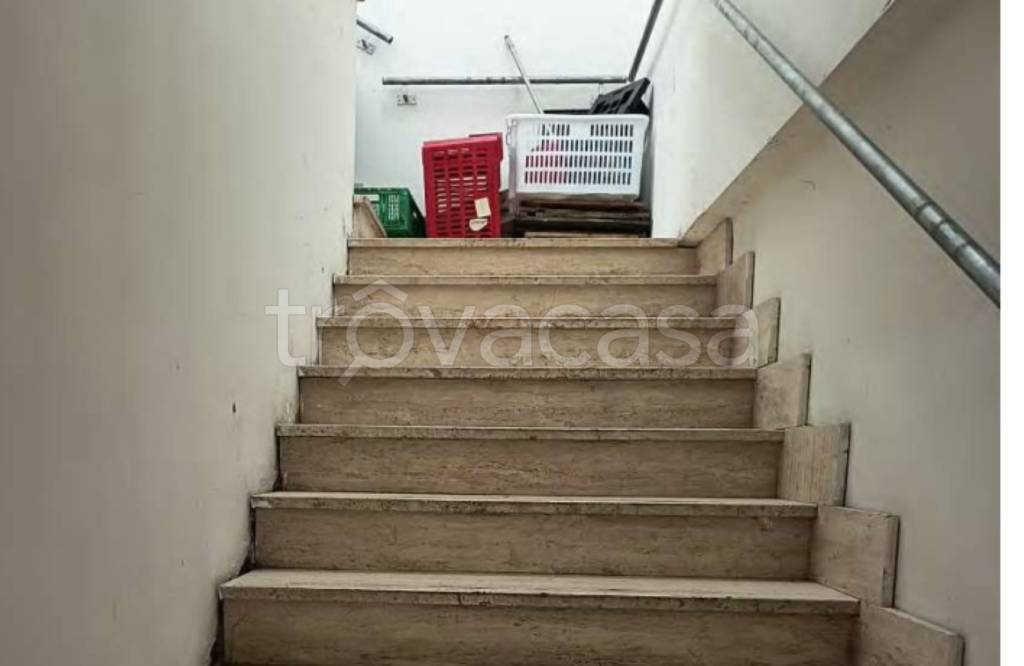 immagine annuncio 9 di 14