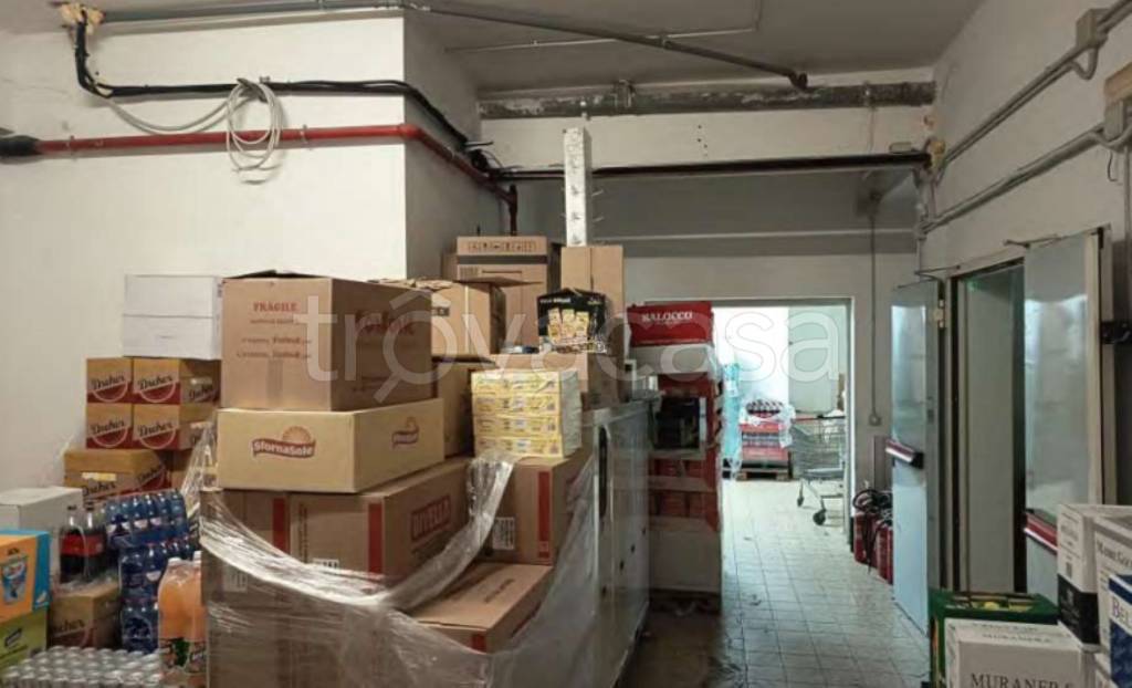 immagine annuncio 11 di 14