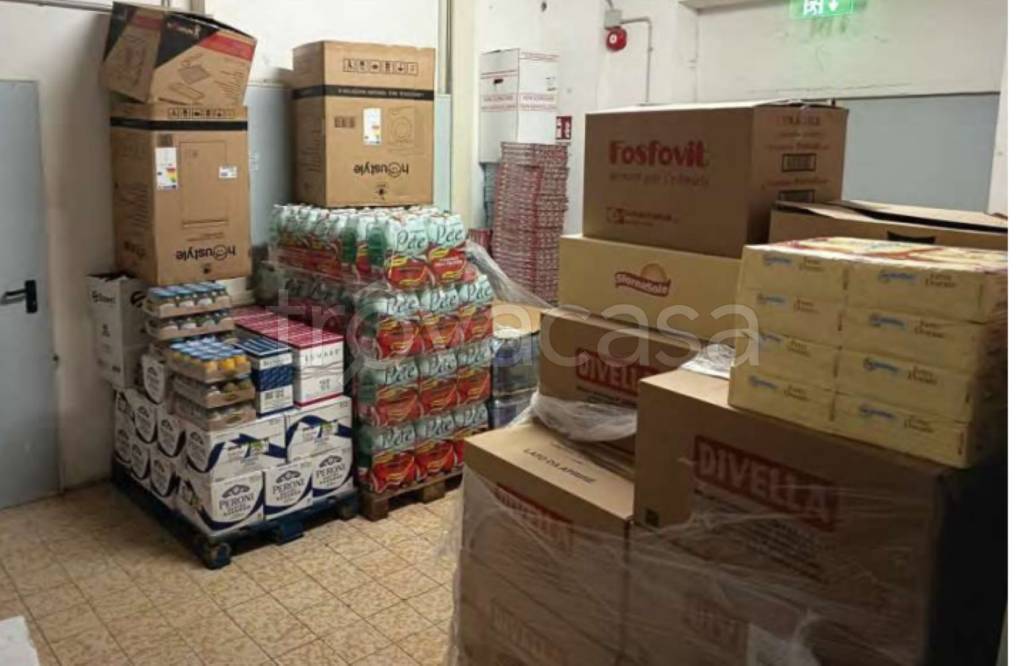 immagine annuncio 12 di 14