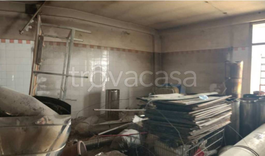 immagine annuncio 4 di 14