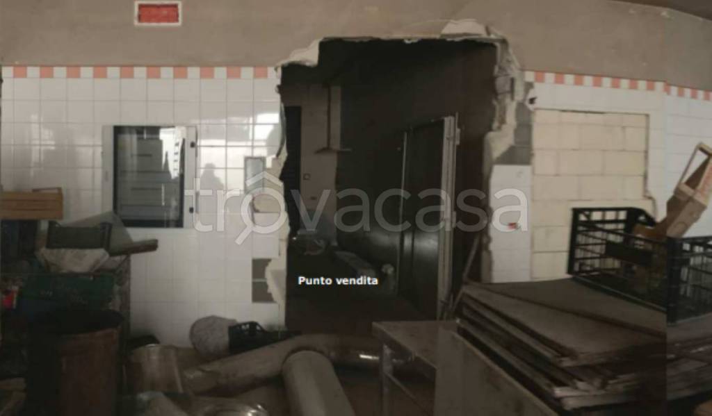 immagine annuncio 6 di 14