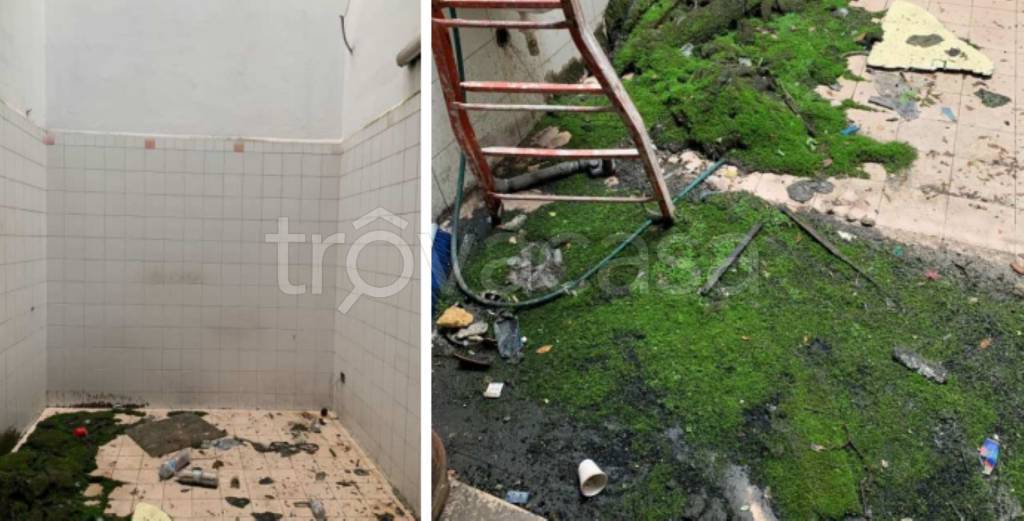 immagine annuncio 7 di 14