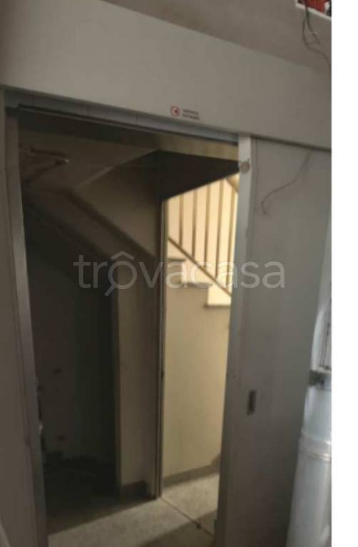 immagine annuncio 9 di 14