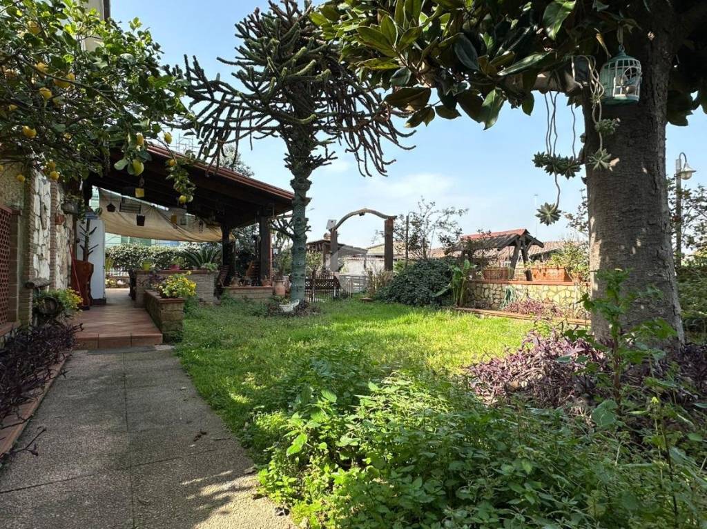 immagine annuncio 4 di 15