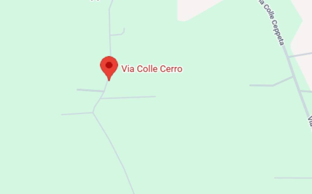 immagine annuncio 2 di 11