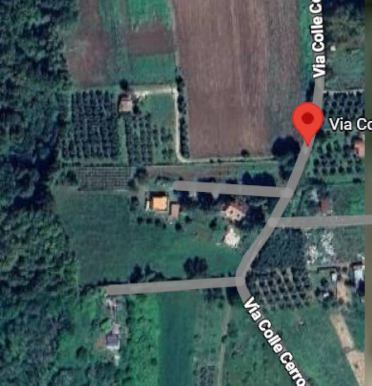 immagine annuncio 5 di 11