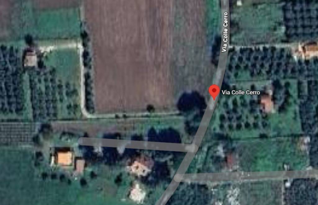 immagine annuncio 6 di 11