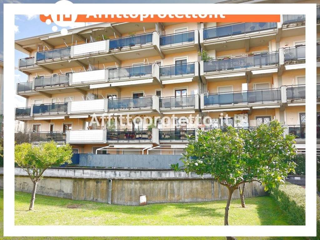 immagine annuncio 5 di 12