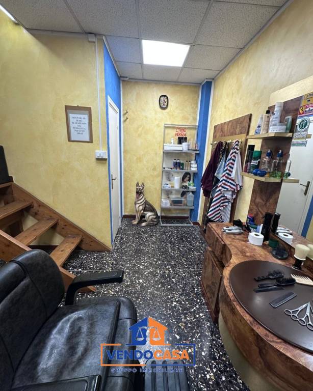 immagine annuncio 5 di 8