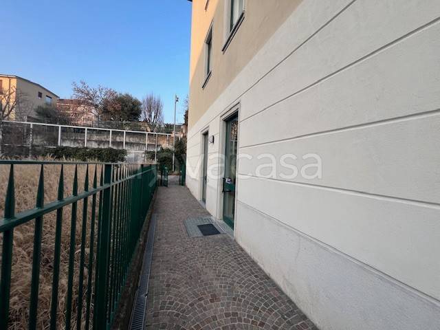 immagine annuncio 3 di 6