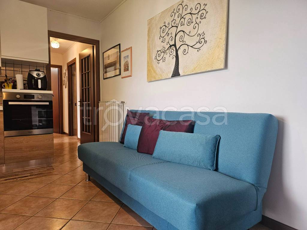 immagine annuncio 6 di 15