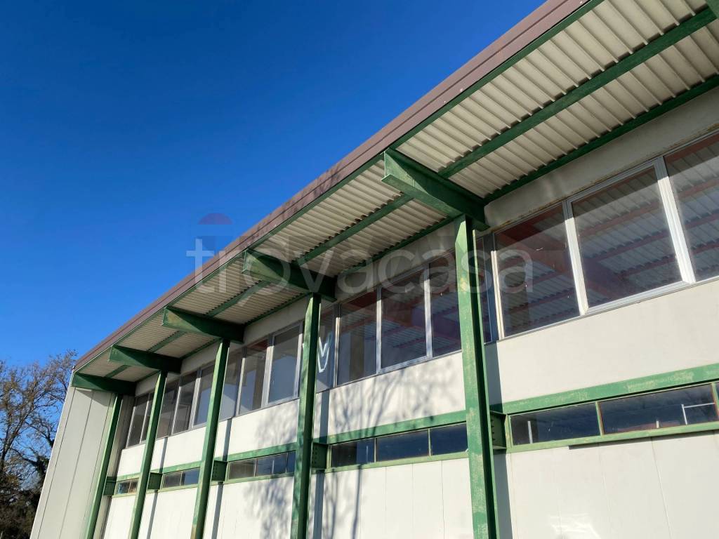 immagine annuncio 1 di 8