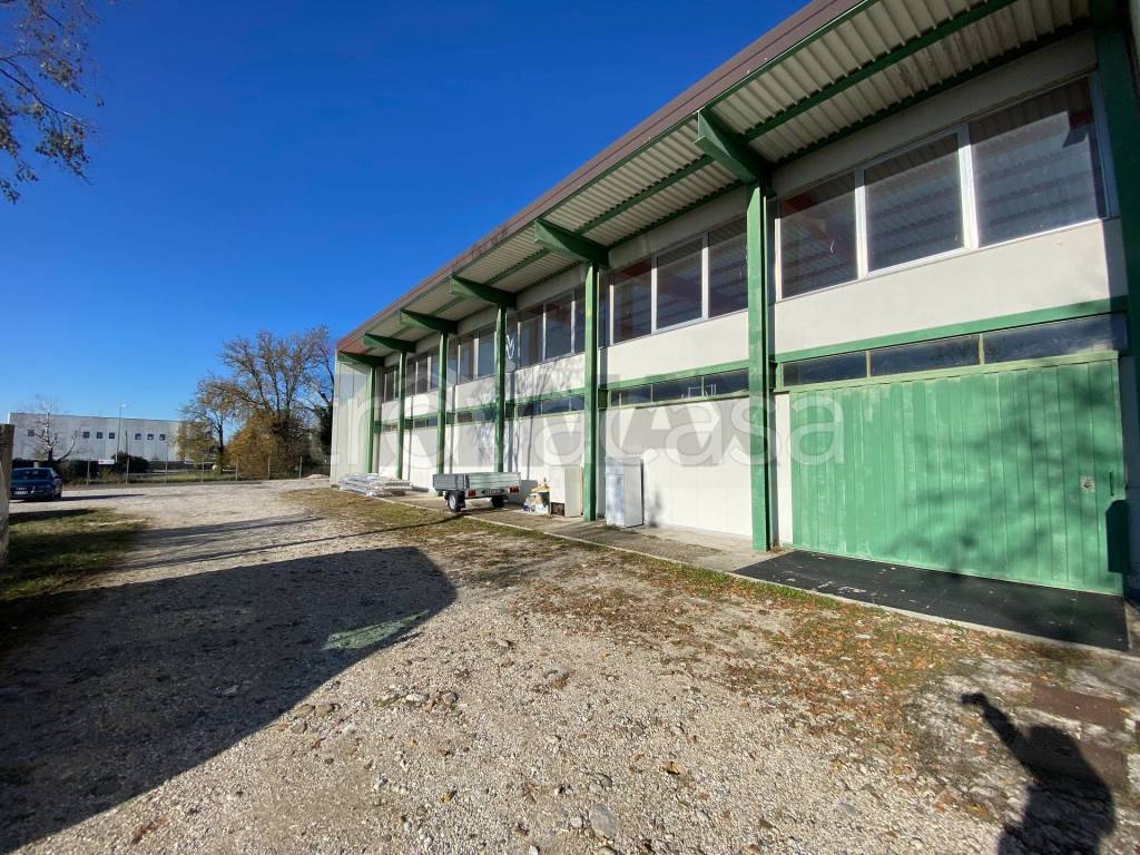 immagine annuncio 6 di 8