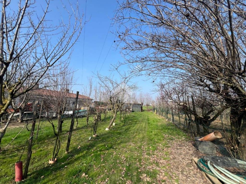 immagine annuncio 9 di 13