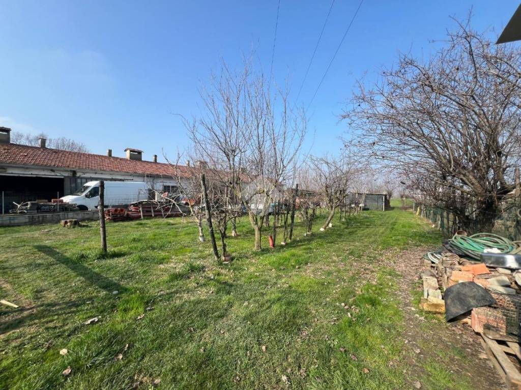 immagine annuncio 11 di 13