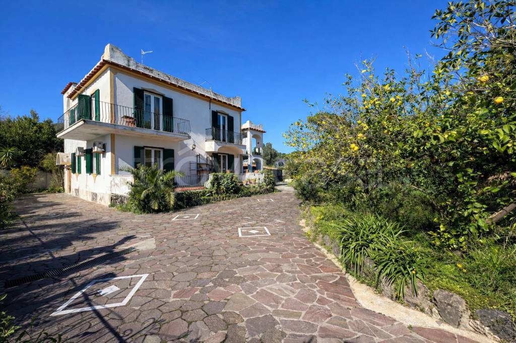 immagine annuncio 7 di 11