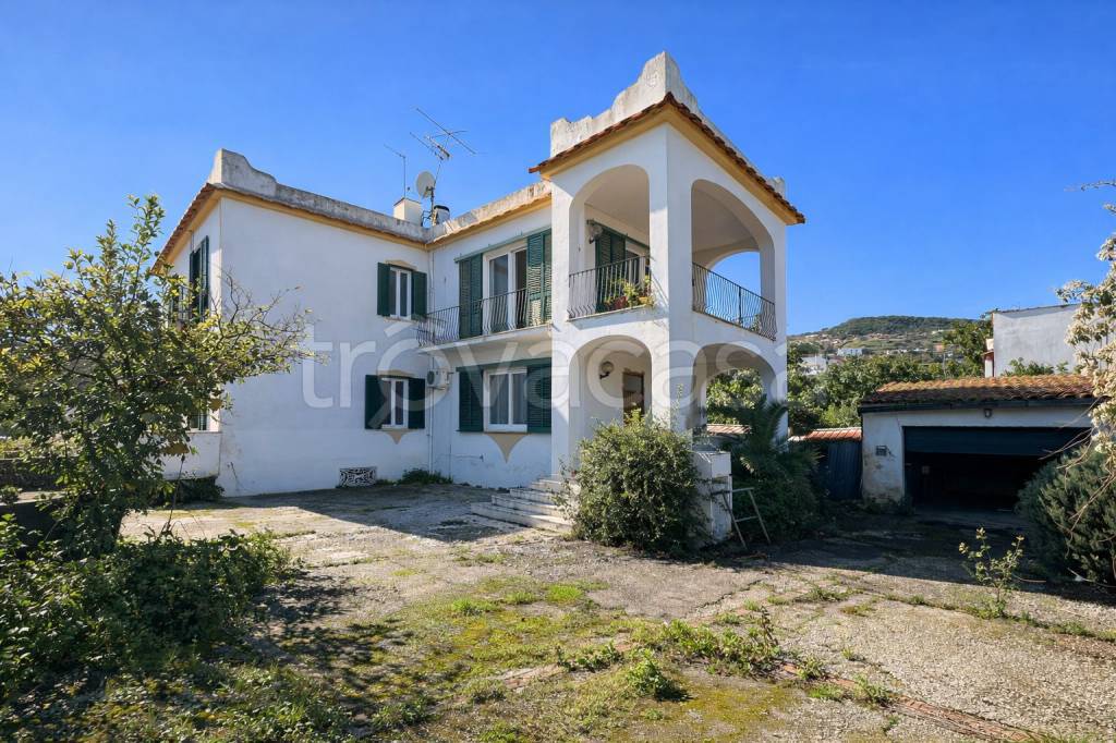 immagine annuncio 4 di 11