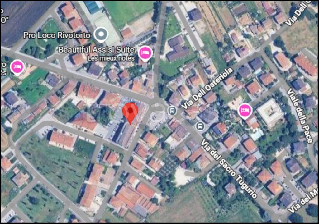 immagine annuncio 11 di 12