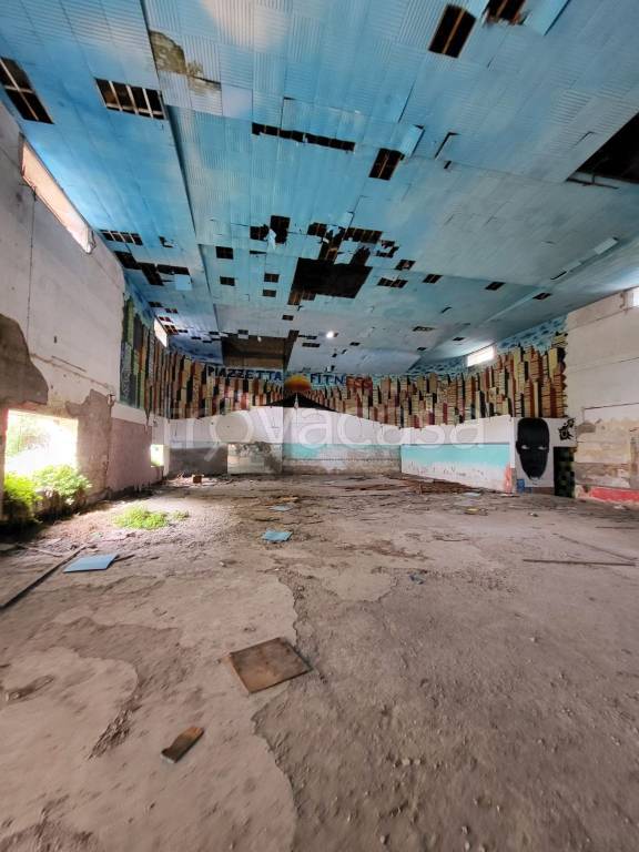 immagine annuncio 4 di 6