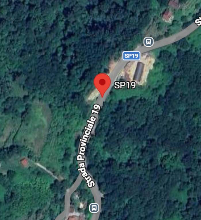 immagine annuncio 5 di 11