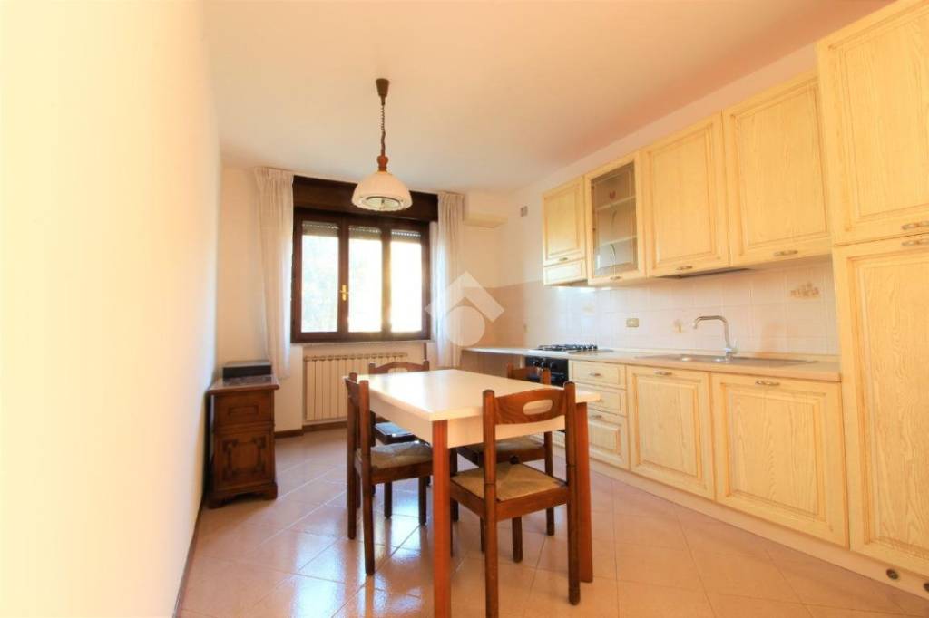 immagine annuncio 2 di 14