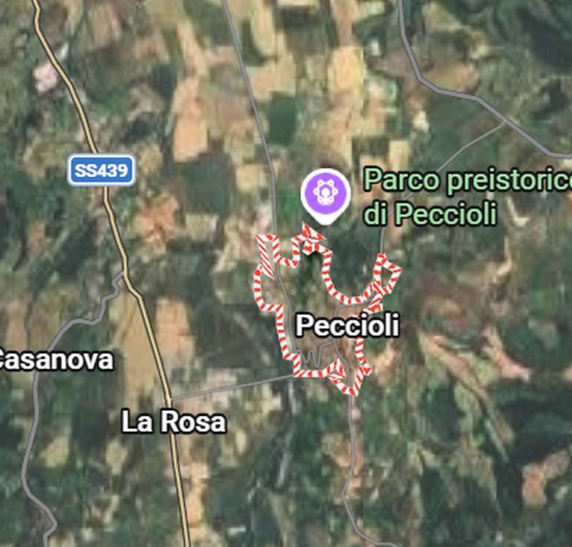 immagine annuncio 6 di 10