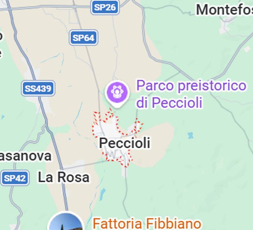 immagine annuncio 7 di 10