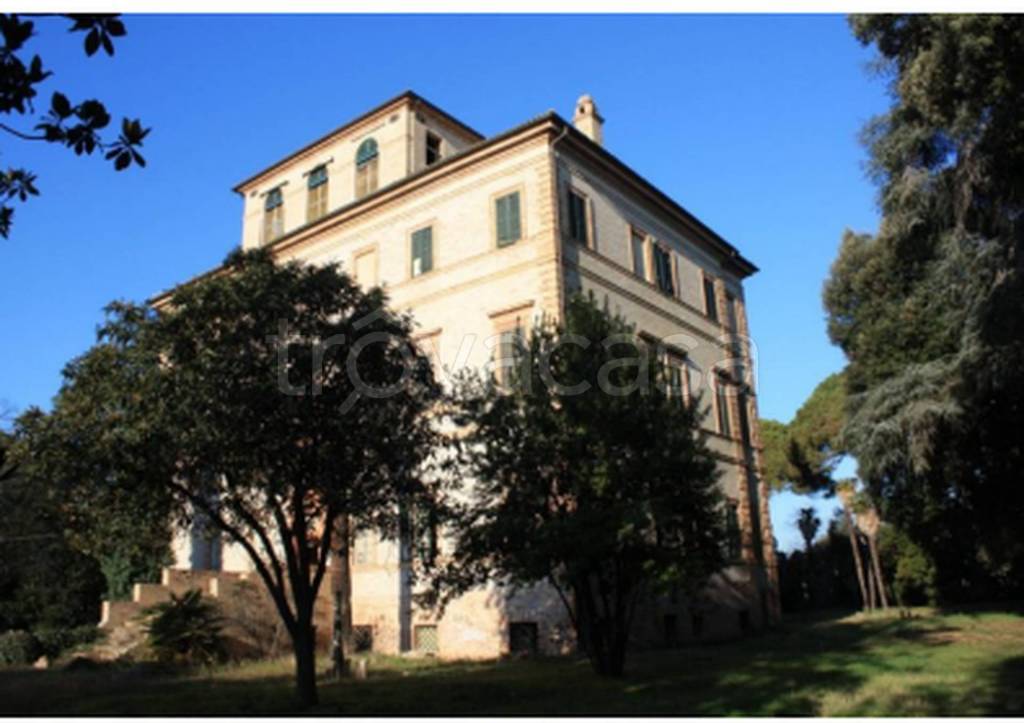 immagine annuncio 11 di 13