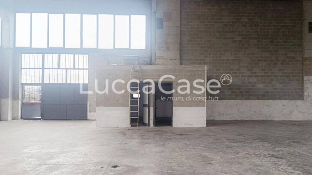 immagine annuncio 2 di 7