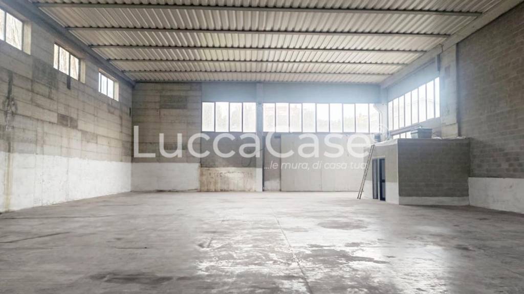 immagine annuncio 3 di 7