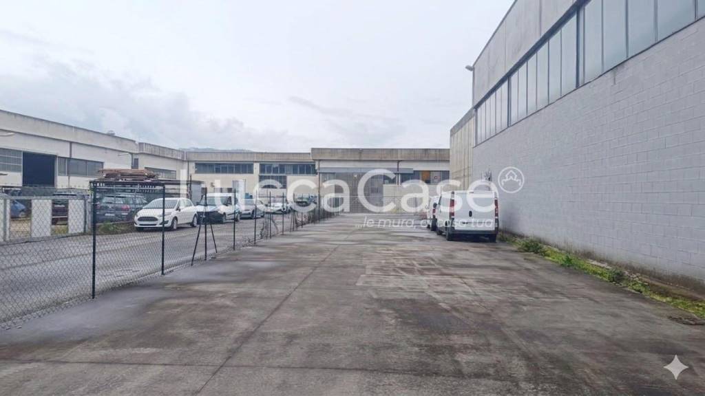 immagine annuncio 4 di 7