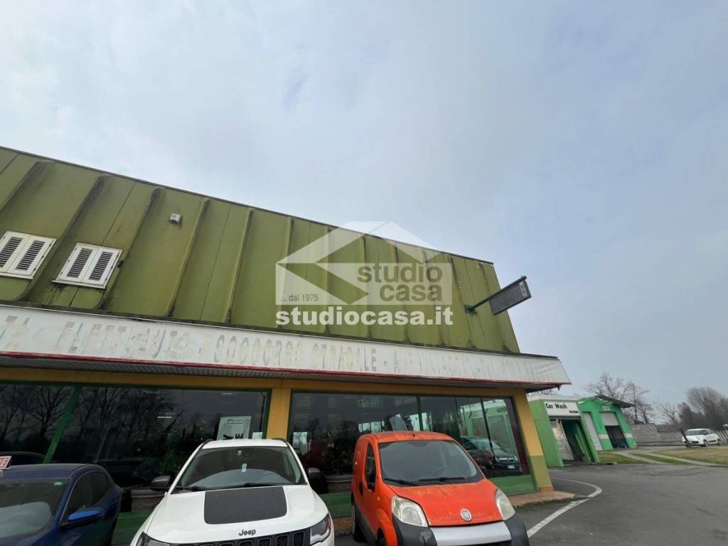 immagine annuncio 1 di 15