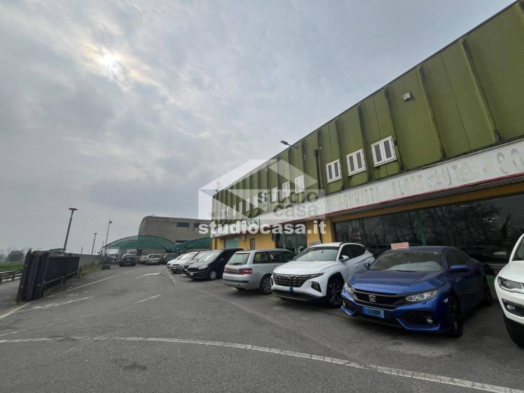 immagine annuncio 2 di 15