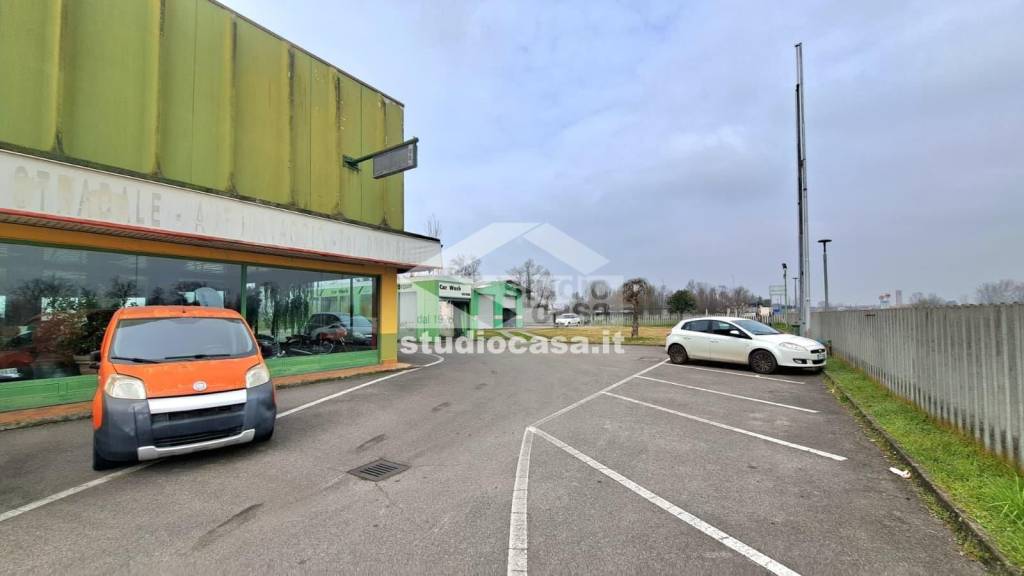 immagine annuncio 3 di 15