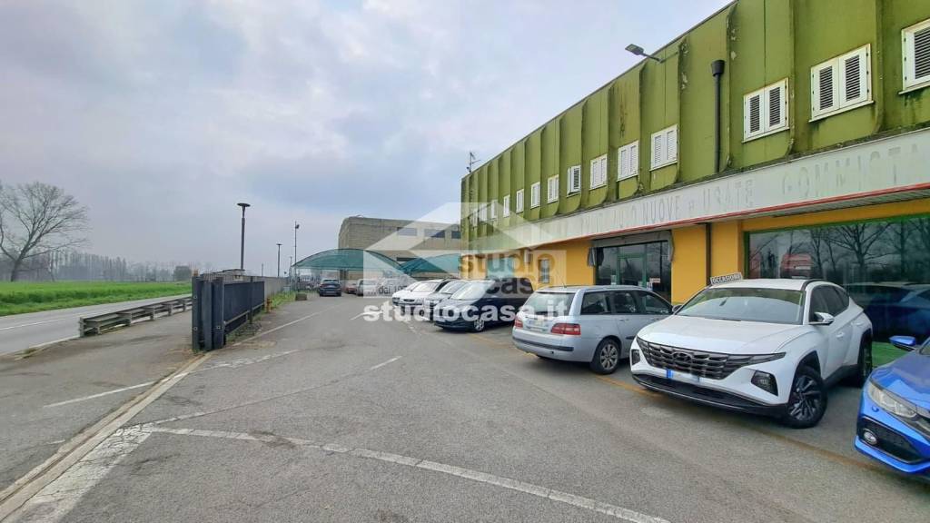 immagine annuncio 5 di 15