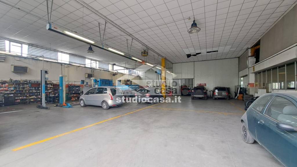 immagine annuncio 7 di 15