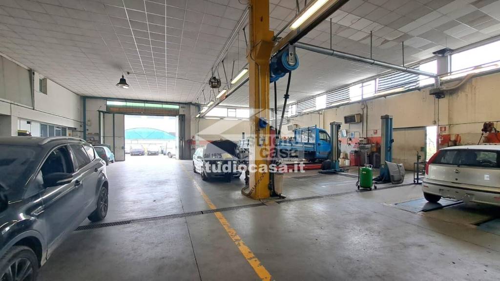 immagine annuncio 8 di 15